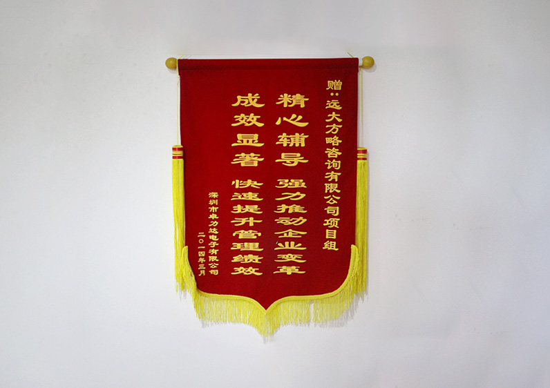 精心輔導，強力推動企業變革